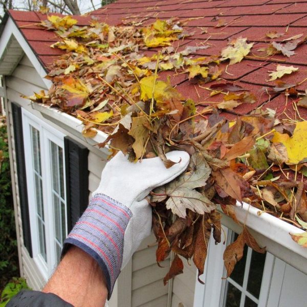 gutter cleaning experts clearing leaves and debris for free flow of water.