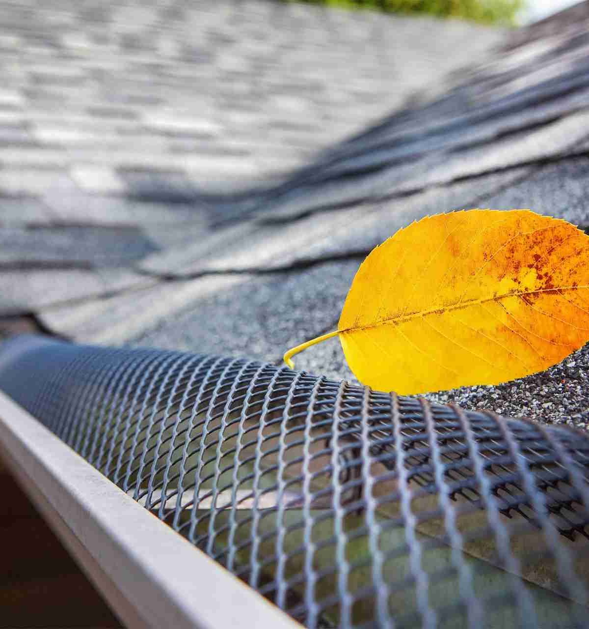 Expert performing periodic maintenance of gutters to mitigate flooding and roof damage Expert performing periodic maintenance of gutters to mitigate flooding and roof damage